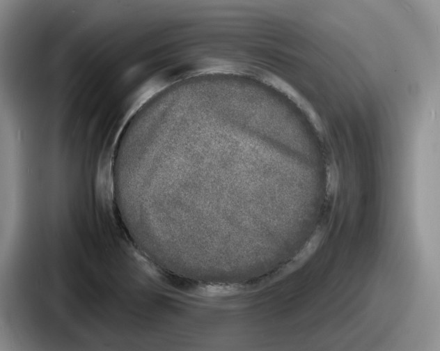 X0000086911274200705141655