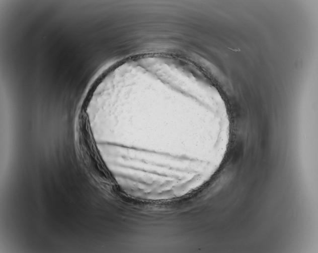 X0000086911275200705141655