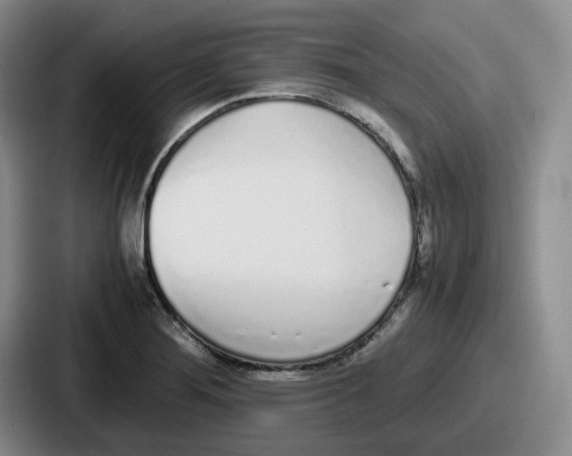 X0000086911276200705141655