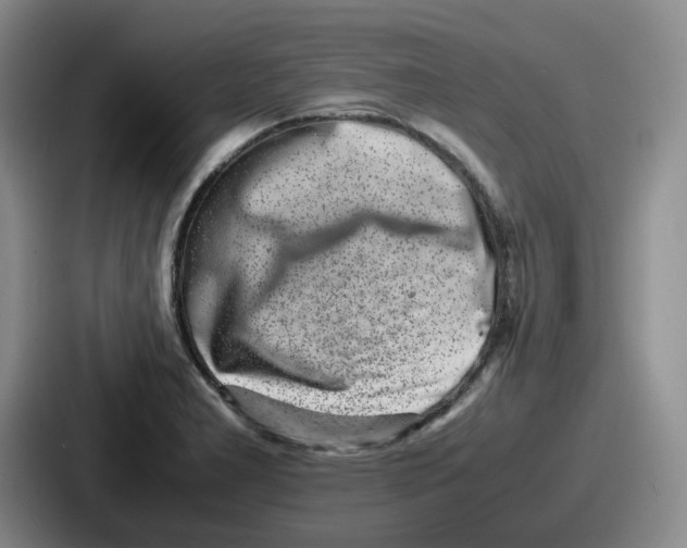 X0000086911277200705141655