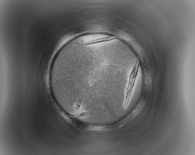 X0000086911278200705141655