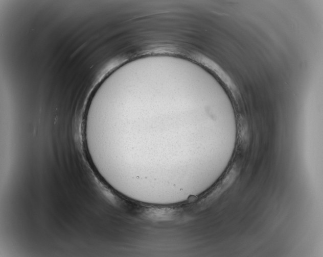 X0000086911282200705141655