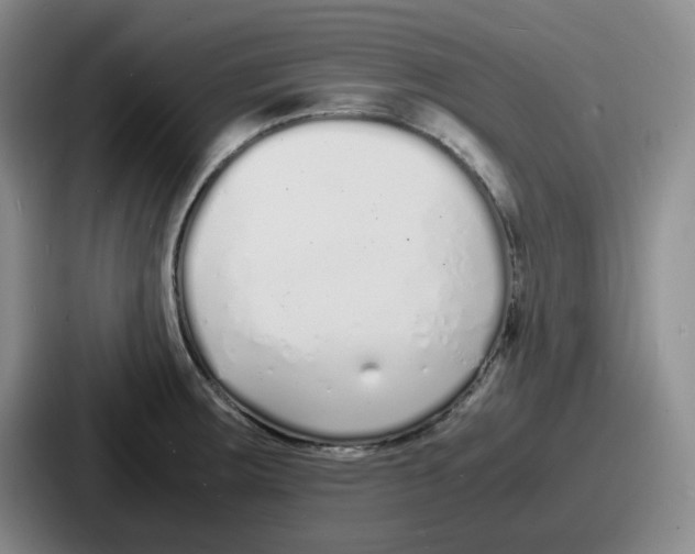 X0000086911283200705141655