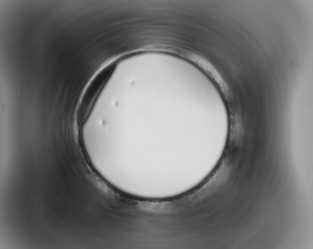 X0000086911284200705141655