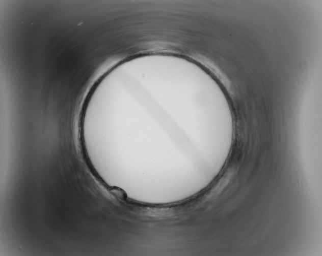 X0000086911285200705141655