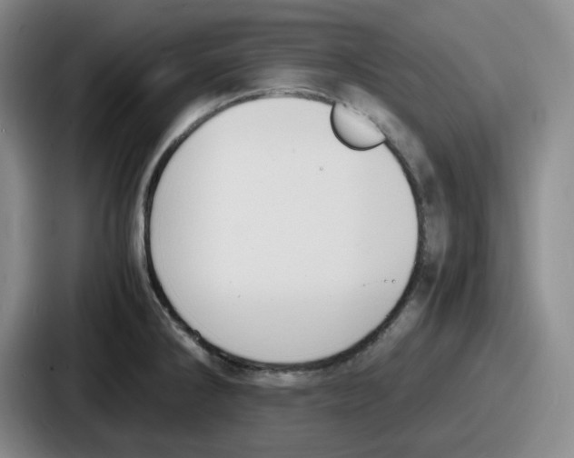 X0000086911286200705141655