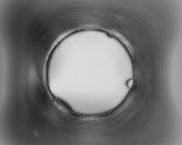 X0000086911287200705141655