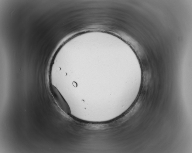 X0000086911288200705141655