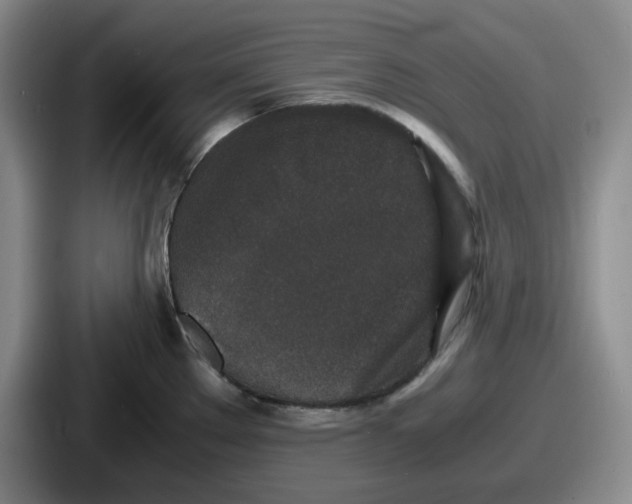 X0000086911289200705141655