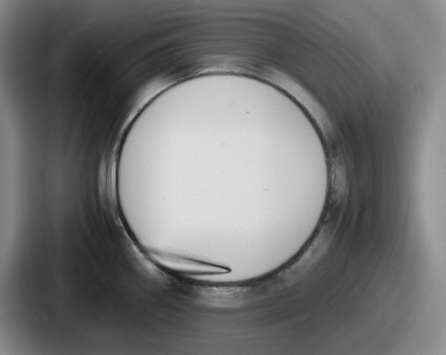 X0000086911290200705141655