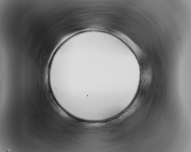 X0000086911292200705141655