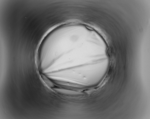 X0000086911295200705141655