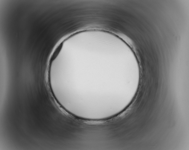 X0000086911296200705141655