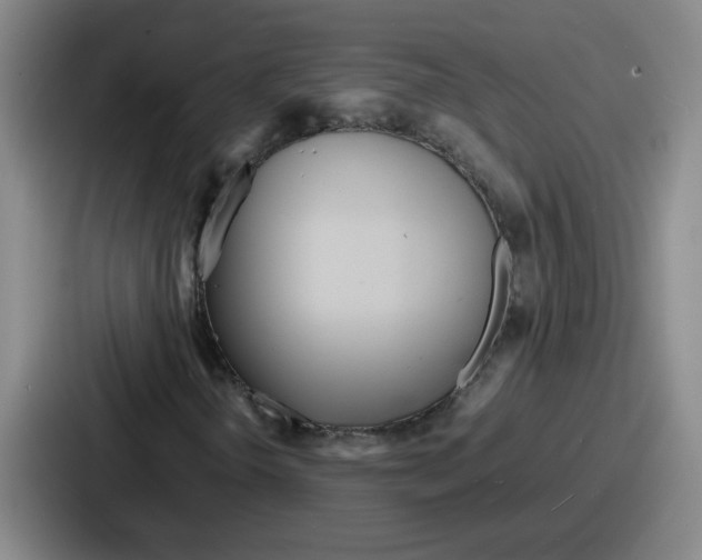 X0000086911298200705141654