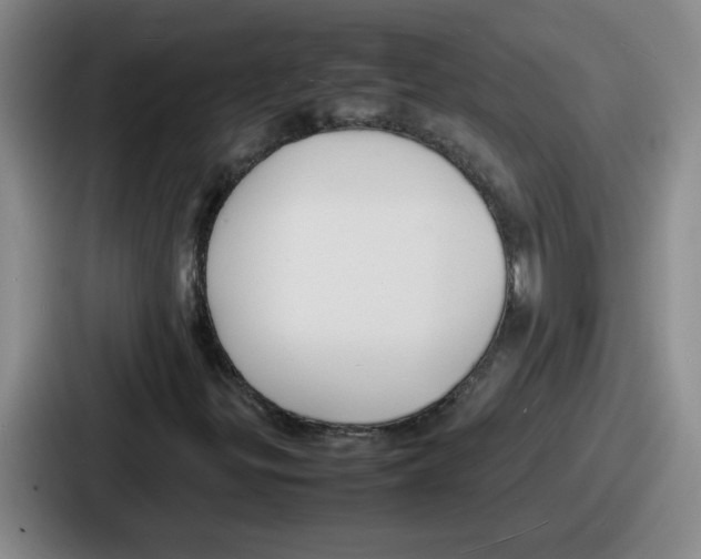 X0000086911299200705141654