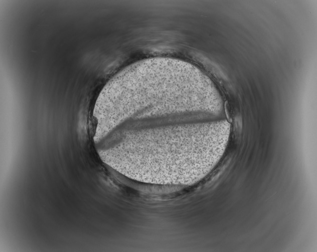 X0000086911300200705141654