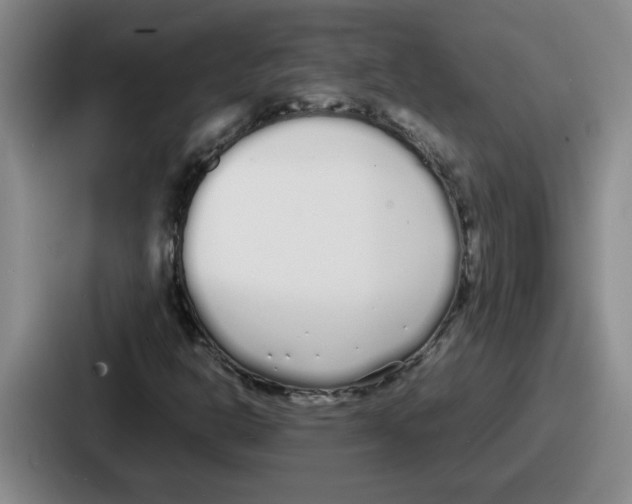 X0000086911302200705141654