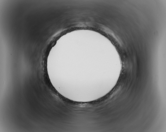 X0000086911304200705141654