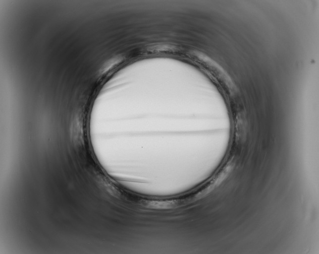 X0000086911305200705141654