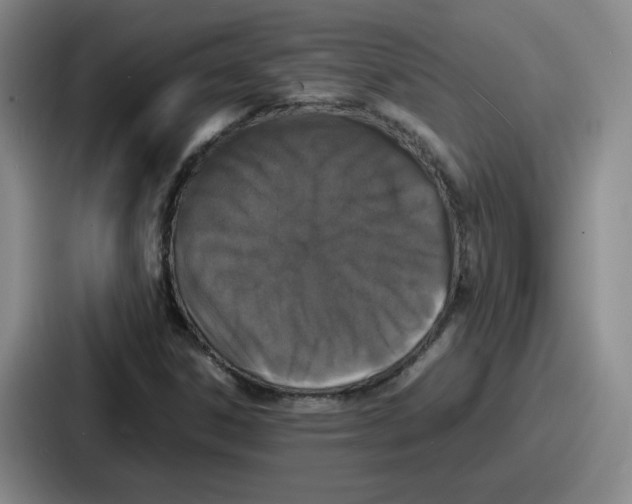 X0000086911306200705141654