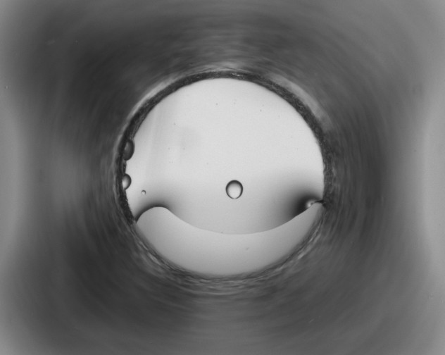 X0000086911308200705141654