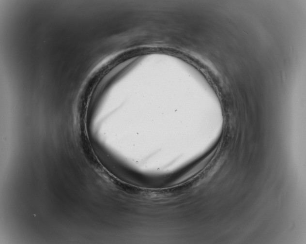 X0000086911311200705141654