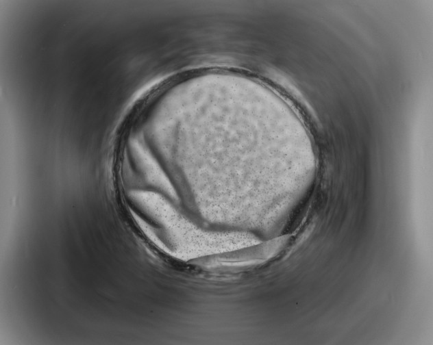 X0000086911312200705141654