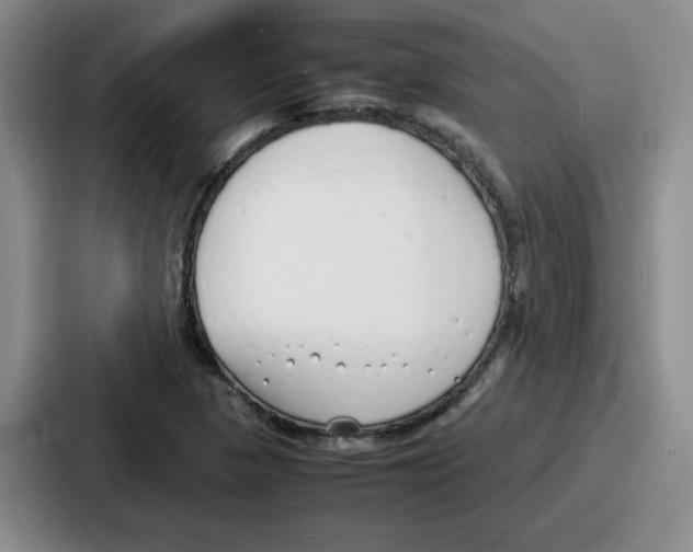 X0000086911313200705141654