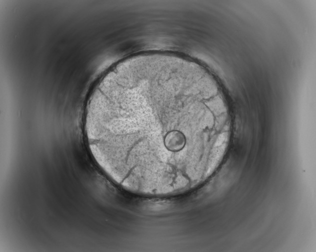 X0000086911314200705141654