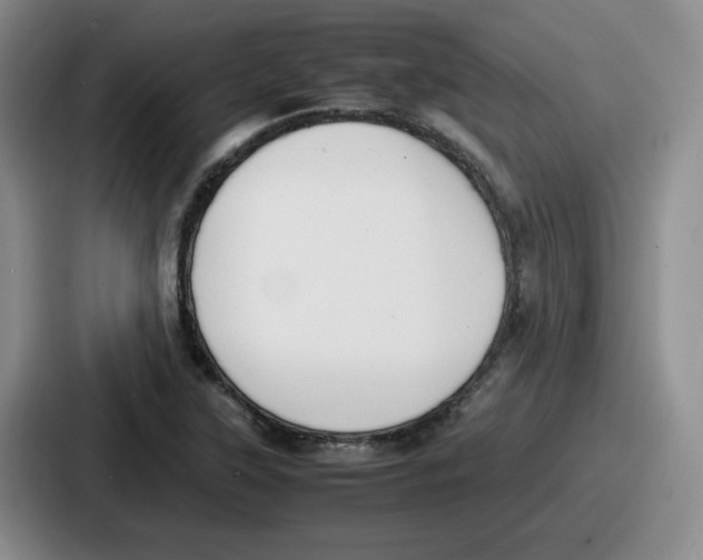 X0000086911315200705141654