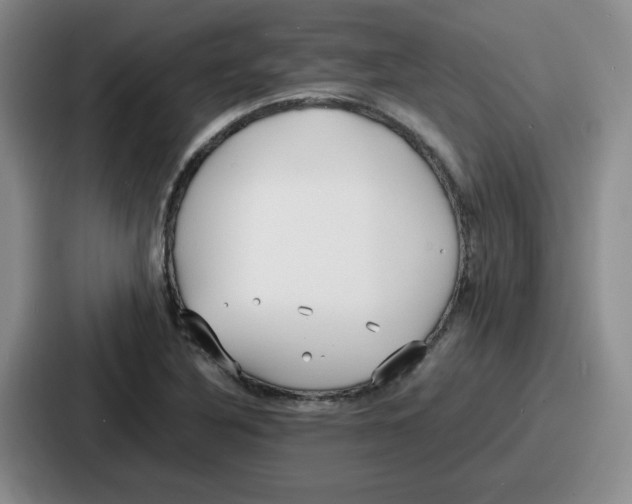 X0000086911316200705141654