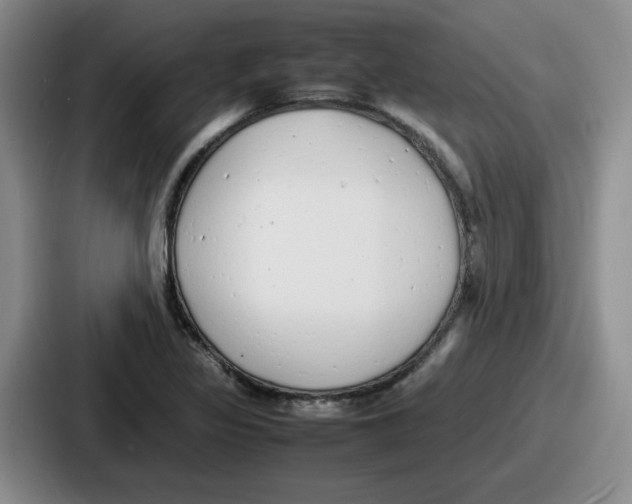 X0000086911317200705141654