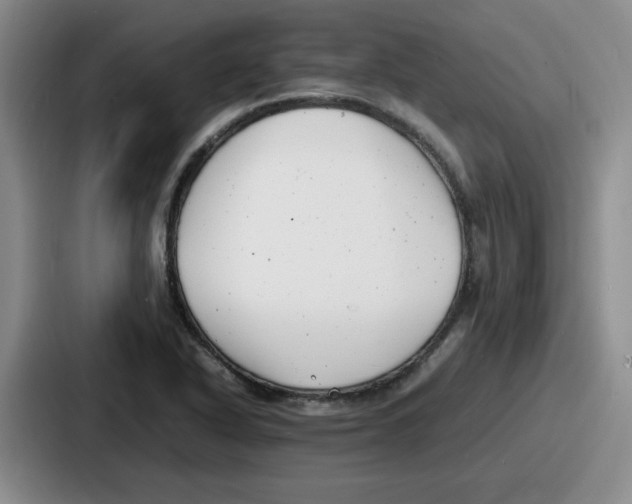 X0000086911318200705141654