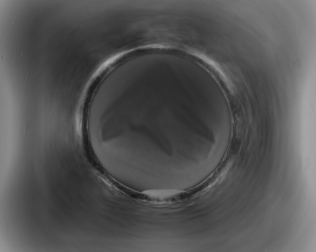 X0000086911319200705141654