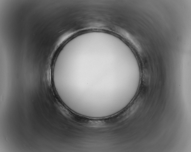 X0000086911320200705141654