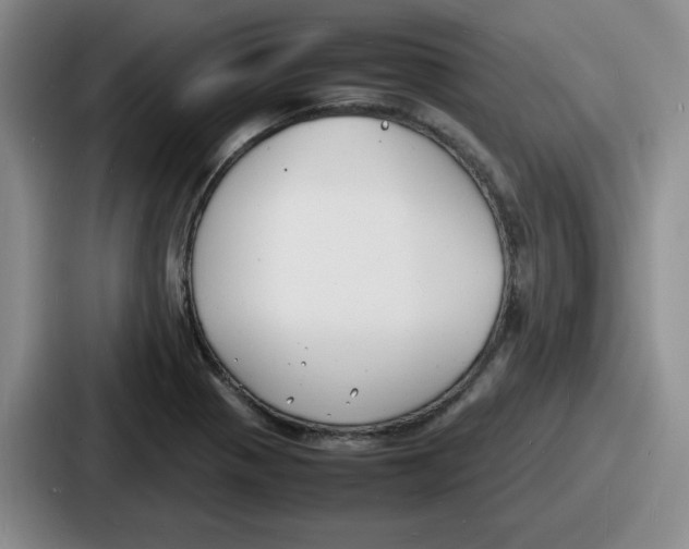 X0000086911321200705141654