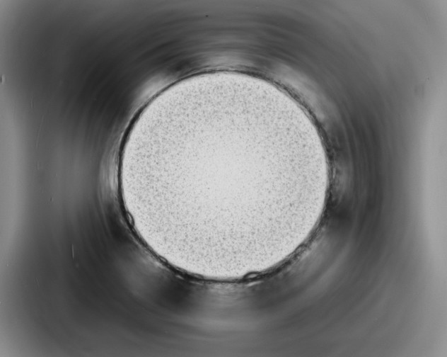 X0000086911322200705141654