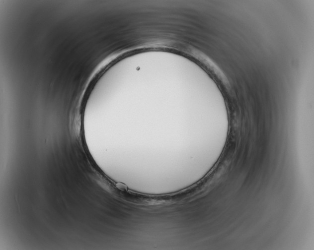 X0000086911324200705141655