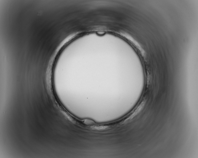 X0000086911325200705141655