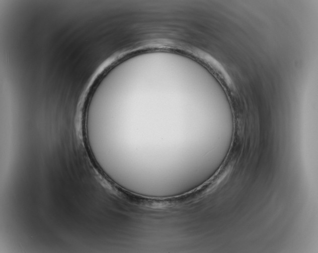 X0000086911326200705141655