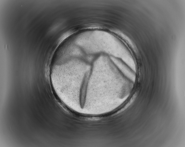 X0000086911329200705141655