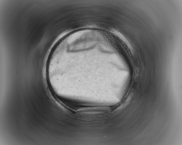 X0000086911331200705141655