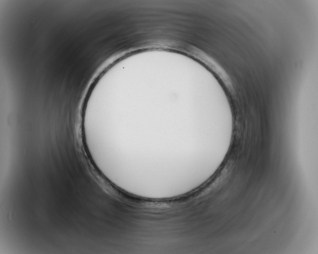 X0000086911332200705141655