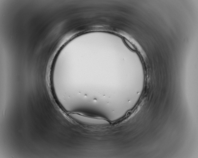 X0000086911333200705141655