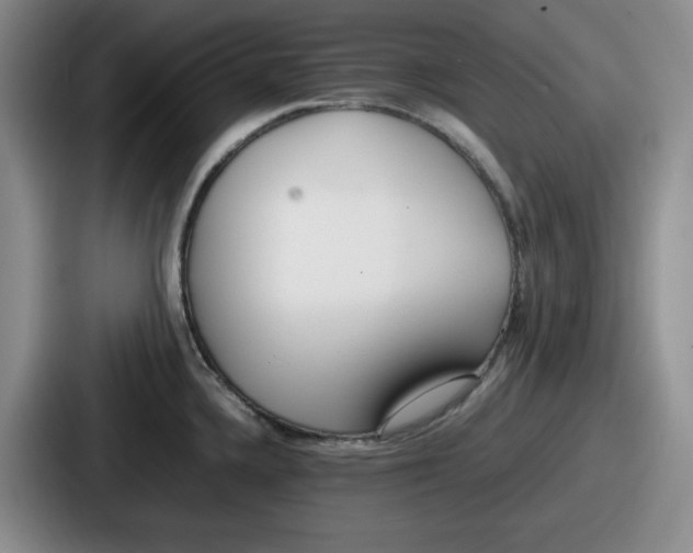 X0000086911336200705141655