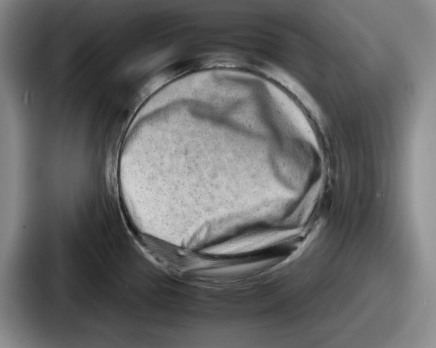 X0000086911337200705141655