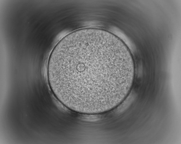 X0000086911338200705141655