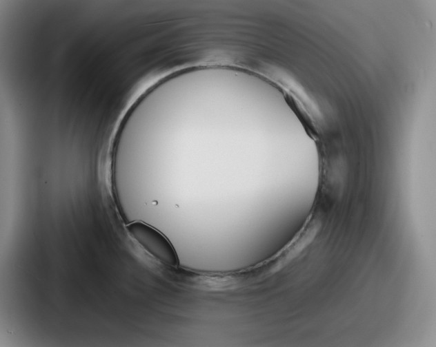 X0000086911340200705141655