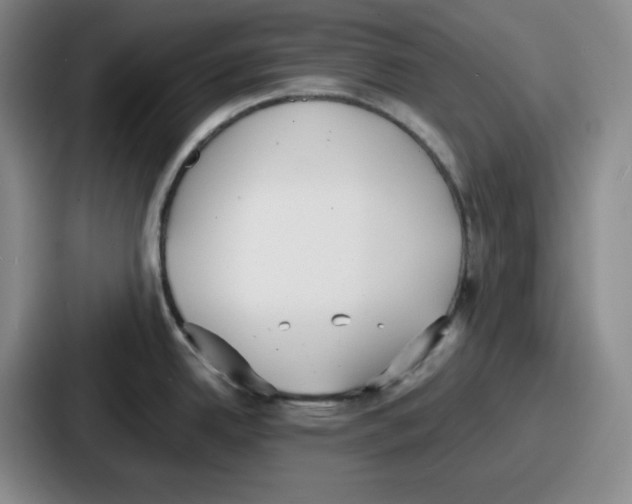 X0000086911342200705141655