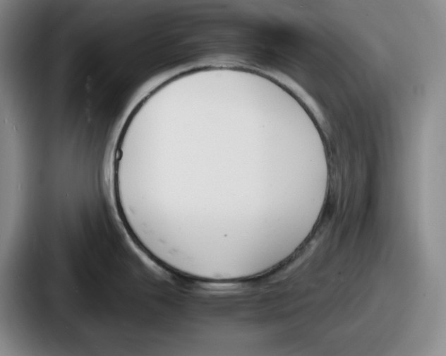 X0000086911343200705141655